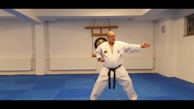 Kata lernen leicht gemacht - Tekki Shodan смотреть онлайн