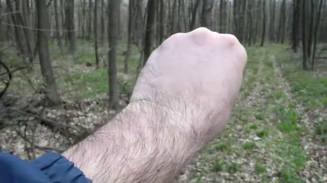 Ворчливые грибники ))) смотреть онлайн