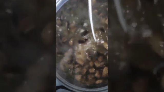 вкуснючий суп с грибами и плавленым сырком, сегодня на канале рекомендую смотреть онлайн