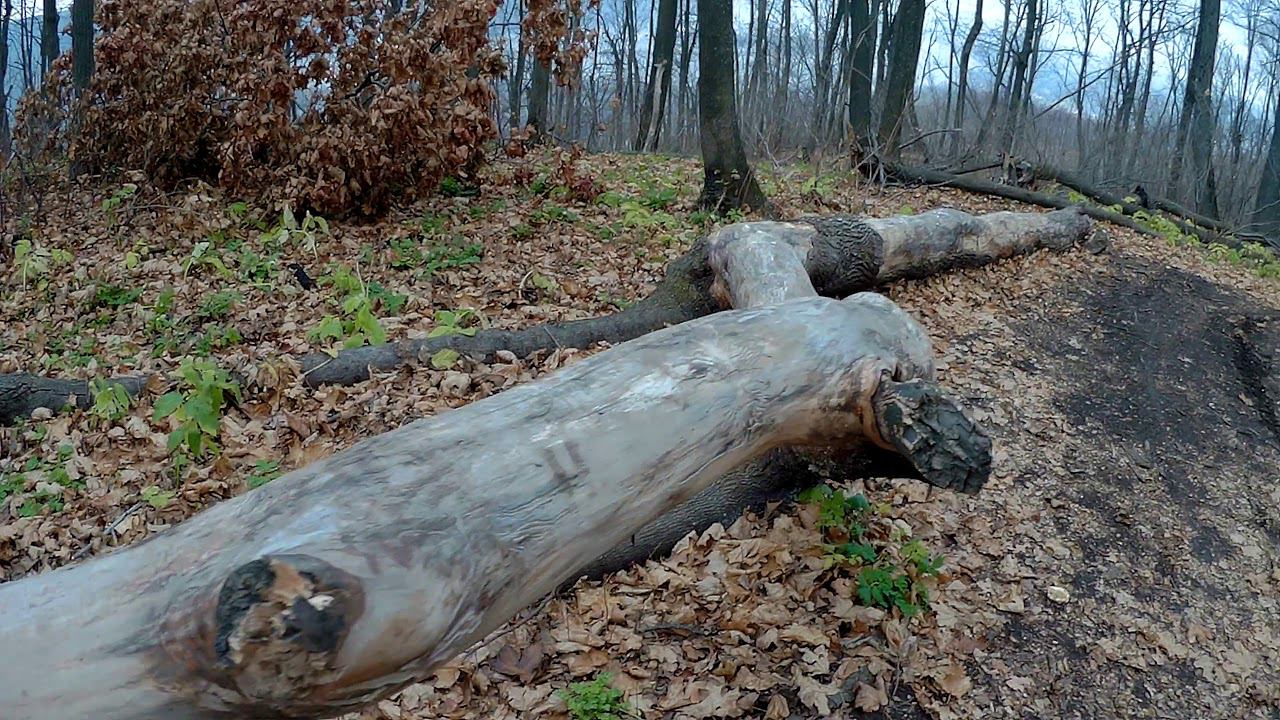 г. Тип Тяв. Самара. 25 октября 2019г. смотреть онлайн