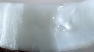 Bounty® «Цветок»