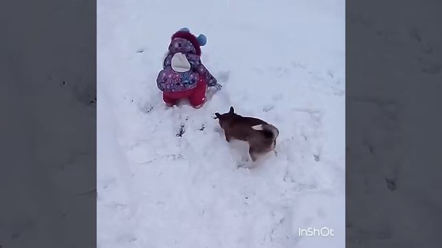 Это не девочка-это беда..) смотреть онлайн