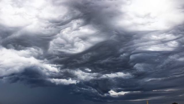Undulatus Asperatus