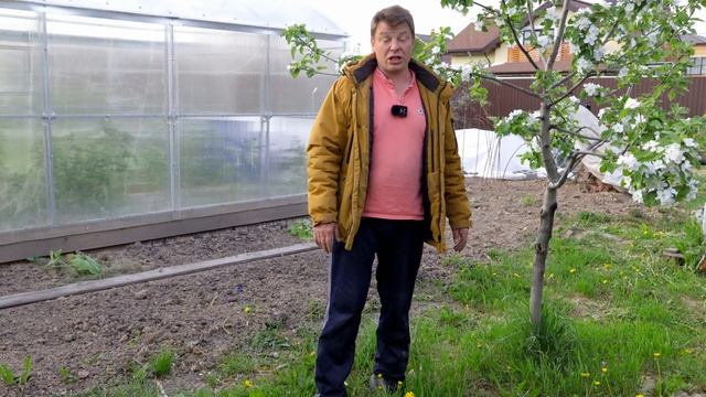 И цветет и пахнет Прогулка по моему саду в мае смотреть онлайн