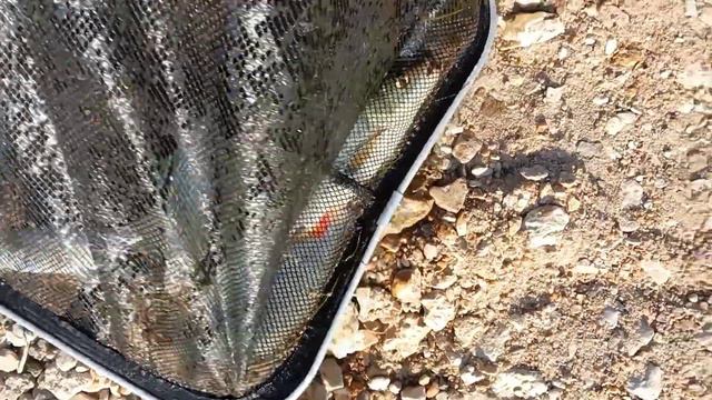 Рыбалка на р.Дон смотреть онлайн