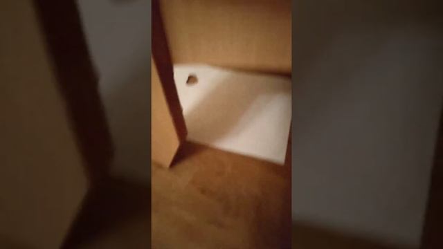Как сделать бумажную утю из тик тока! ? смотреть онлайн