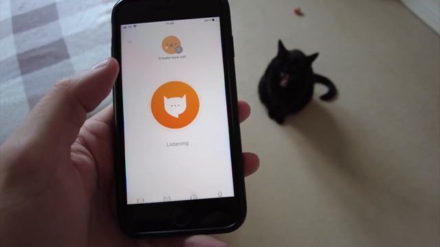Meow Talk Cat Translator App смотреть онлайн