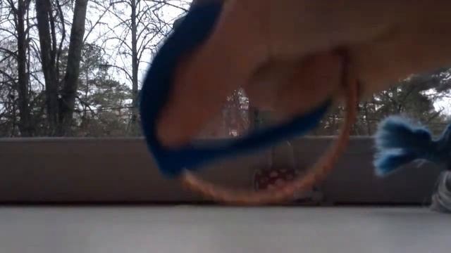 чехол для обруча своими руками для кукл!!!?? смотреть онлайн