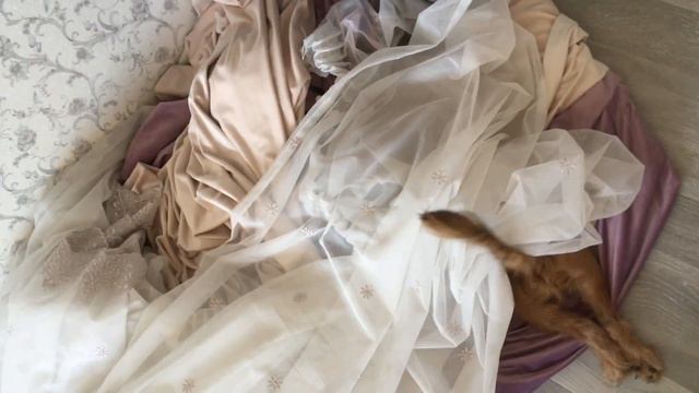 Счастью нет предела. смотреть онлайн