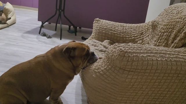 Мини-пух, Варвара. смотреть онлайн