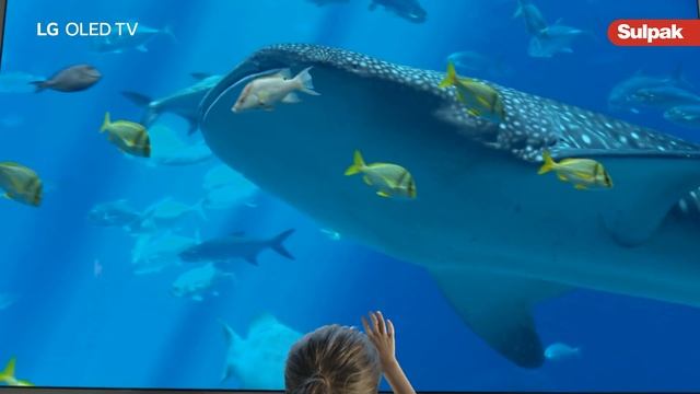 Сила пикселей OLED. Новый уровень эмоций! смотреть онлайн