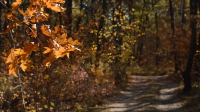 PL 5 (outside The City)