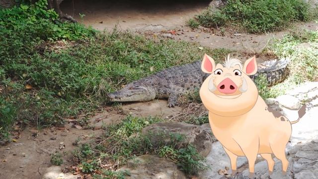 0+ Кто такие крокодилы и почему они плачут? Почемучка. Детская энциклопедия. смотреть онлайн