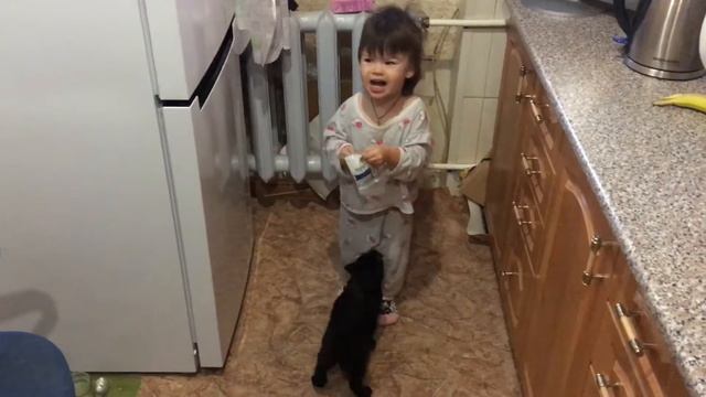 Кекс просит кушать, смешно смотреть онлайн