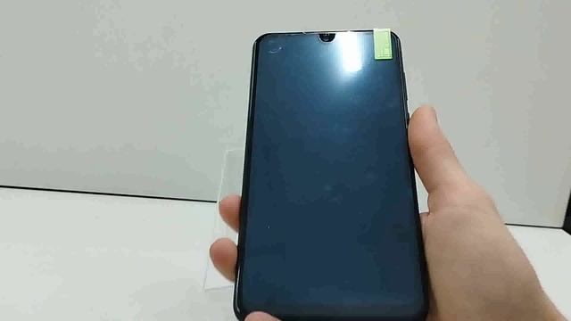 Видео №310004