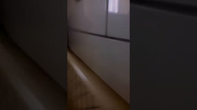 Обзор поезда в Кабардинке смотреть онлайн