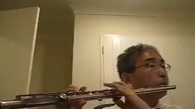 Haydn Symphony No. 96 3rd movement in D major ' Miracle ' - Flute by Won Shik Paik смотреть онлайн