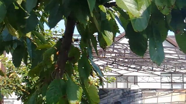 Навес частный дом Новороссийск смотреть онлайн