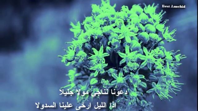 Muhammad Al-Muqit | محمد المقيط _ دعوني