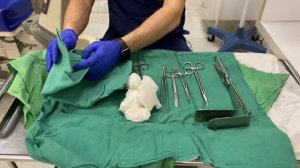 ОСМОТР РОДОВЫХ ПУТЕЙ ПОСЛЕ РОДОВ