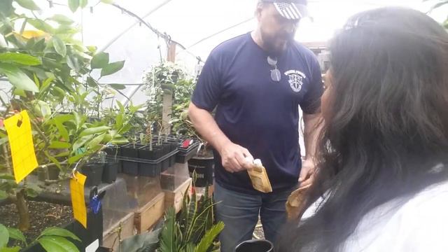 BEST NATURAL PEST CONTROL FOR CITRUS / Controlling Slugs and Snails and Aphids Fast and Easy смотреть онлайн