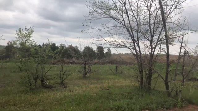 #2023#пасека#пчеловодство#пчелосемьи#пчелопакеты#волгоград#михайловка# смотреть онлайн