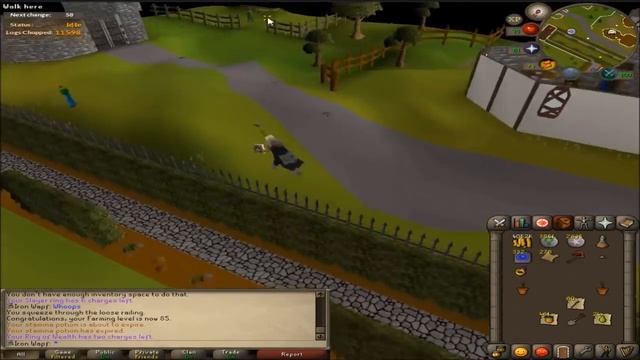 OSRS Dailies Guide for Iron Men: Simple Route смотреть онлайн