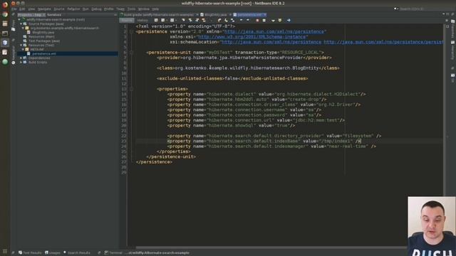 Знакомимся с Hibernate Search и запускаемcя под Wildfly смотреть онлайн