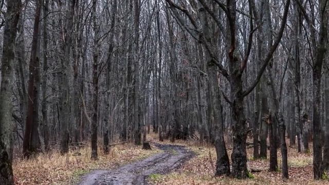 Нивы сжаты смотреть онлайн