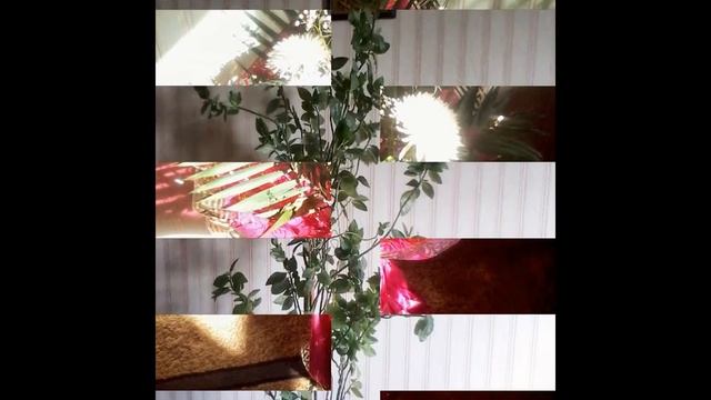 Слад-шоу про цветы смотреть онлайн