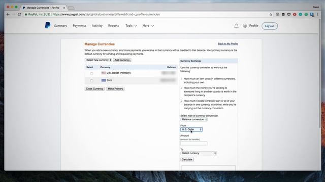 PayPal Tutorial: Balance Currency Conversion смотреть онлайн