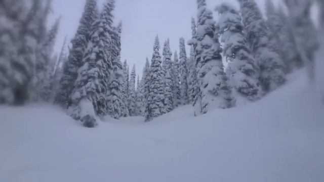 Blow, Blow, Thou Winter Wind смотреть онлайн