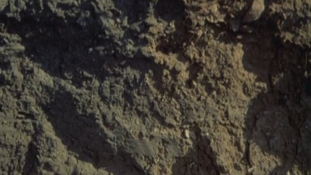 ☦_❤️"ОНИ СРАЖАЛИСЬ ЗА РОДИНУ ! ( 1975 г. ) ЖелаЕМ Вам ЗдОровья СчАсТЬЯ ! БОЖЕ, Храни РОССИЮ !"❤️_☦ смотреть онлайн