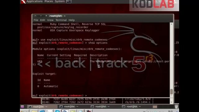 Metasploitable AMAP Unknown Services Detecting USD Command Shell смотреть онлайн