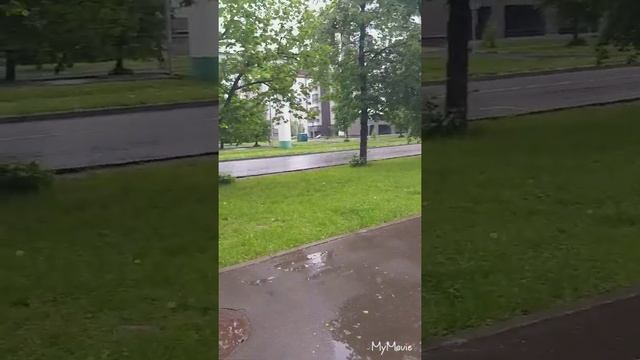 Хотите купить комнату в Москве? смотреть онлайн