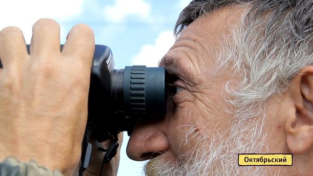 Численность орлов-могильников в Башкирии сокращается смотреть онлайн
