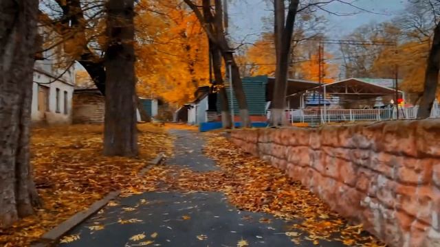 Мелодия города | Осень в Центральном парке смотреть онлайн