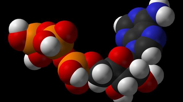 Biotin carboxyl carrier protein | Wikipedia audio article смотреть онлайн