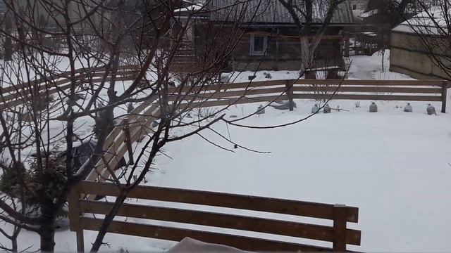 6 февраля Первой начала всходить петунья смотреть онлайн
