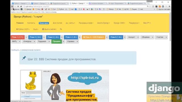 Как успешно освоить Python и Django? смотреть онлайн