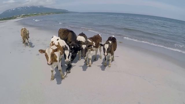 Waterfall Wonderland