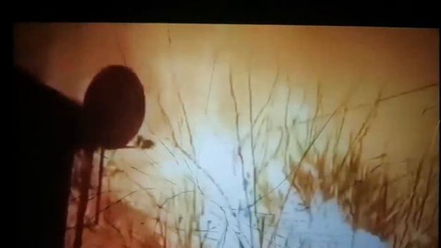 СРОЧНО ЛУГАНСК СЕЙЧАС смотреть онлайн