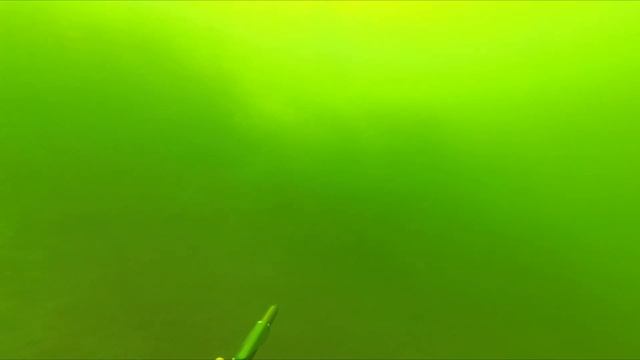 Частное озеро с осетрами, стерлядями, бестерами и амурами. И с очень прозрачной водой:))))) смотреть онлайн