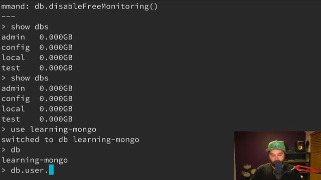 Install a local MongoDB Database on macOS смотреть онлайн