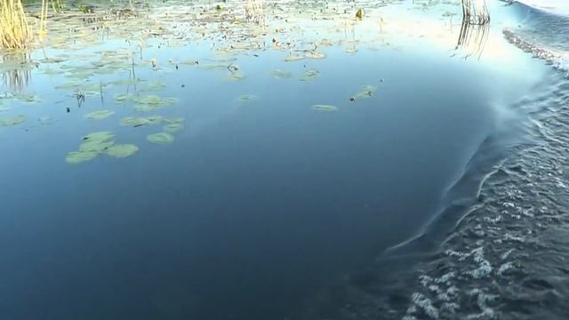 рыбалка на Цне смотреть онлайн