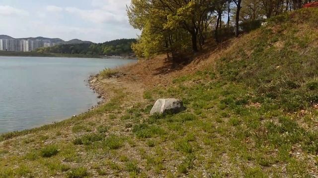 Тэгу -- город цветов в Южной Корее смотреть онлайн