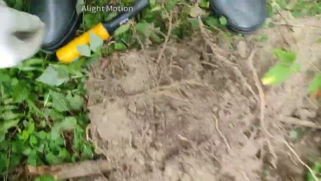 Поход по лесу с металлическом Minelab Vanquish 540 смотреть онлайн