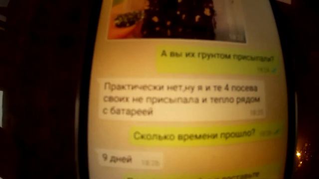 Адениум! Не делай добра - не будет зла! Ошибки посева! смотреть онлайн