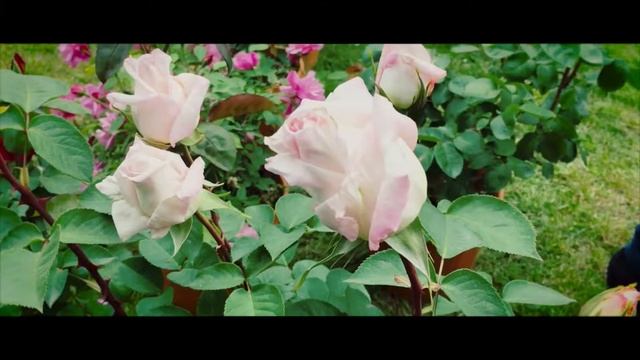 Fiorinfiera - Borgo San Lorenzo смотреть онлайн