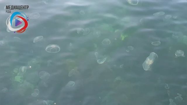 Легенда СИНИЙ КРАБ смотреть онлайн